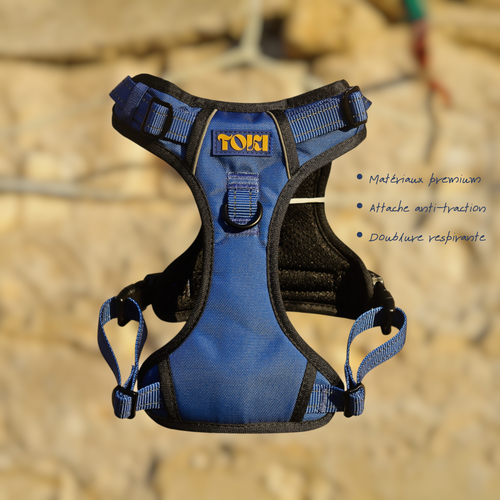 Harnais Toki Max