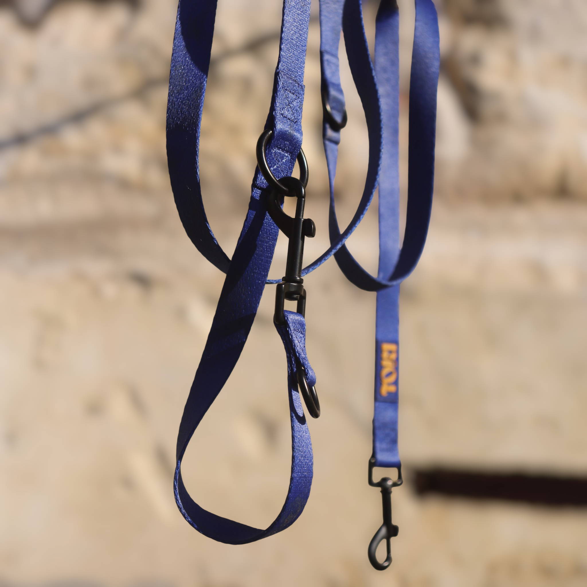 Laisse multi-position