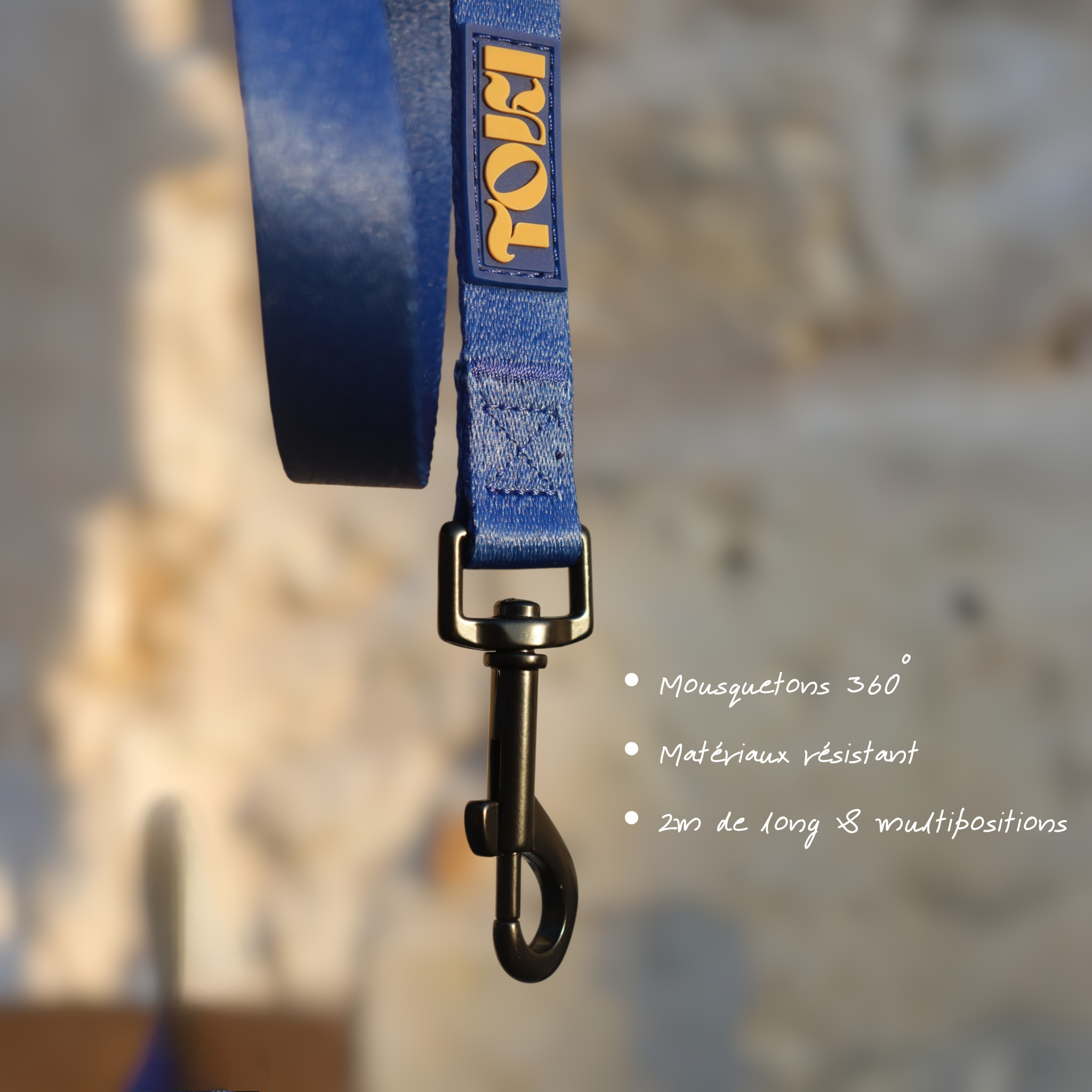 Laisse multi-position